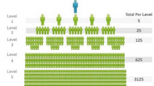 a view of gdi’s matrix system showing the recruiting structure and per level referrals