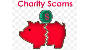 Charity Scams | Fake donations | victims of charity fraud | red pig cracked in half