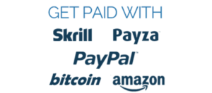A screen shot that reads, Get paid with Skrill Payza Paypal Bitcoin Amazon
