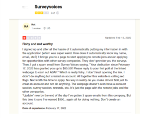 Customer review and experiences from Survey Voices website